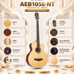 ibanez aeb105e nt 2