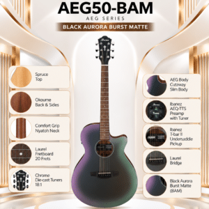 ibanez aeg50 bam 2