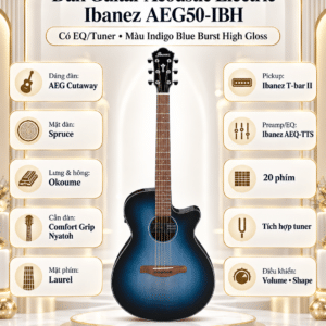 ibanez aeg50 ibh 2