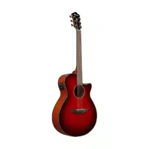 Ibanez AEG51-TRH guitar acoustic-electric cổng XLR, biểu diễn ibanez aeg51 trh 1