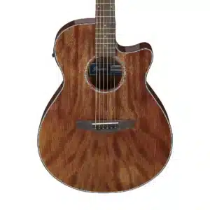 ibanez aeg61 nmh 2