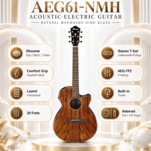 ibanez aeg61 nmh 3