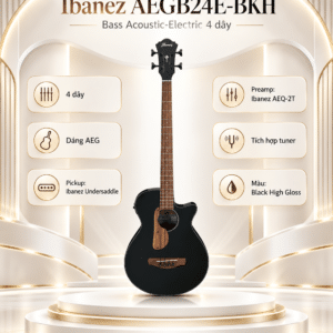 ibanez aegb24e bkh 3