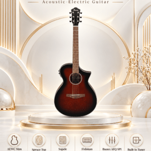 ibanez aewc11 dvs 3