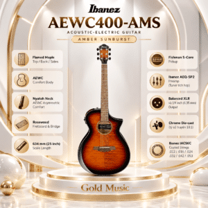 ibanez aewc400 ams 5