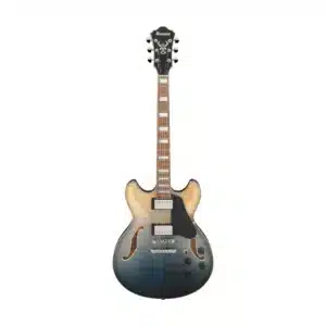 ibanez as73fm tif 3
