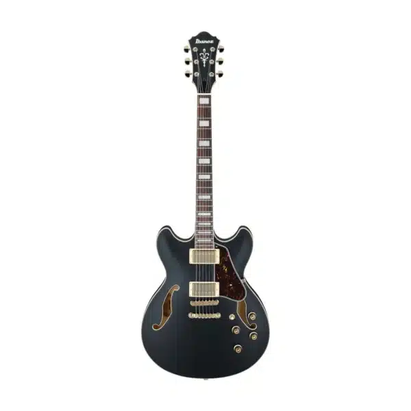 ibanez as73g bkf 3