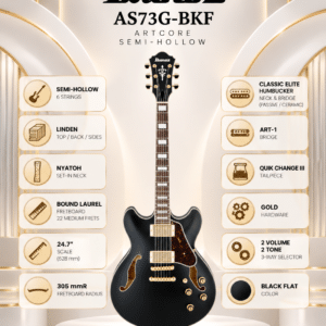 ibanez as73g bkf 3