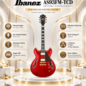 ibanez as93fm tcd3