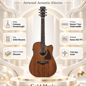 ibanez aw247ce opn 3