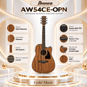 ibanez aw54ce opn 3