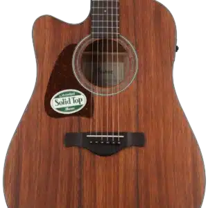 ibanez aw54lce opn 2