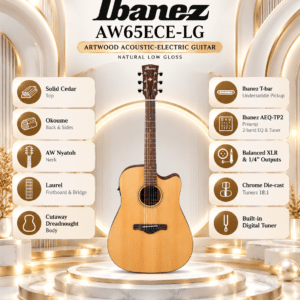 ibanez aw65ece lg 4