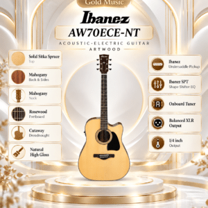 ibanez aw70ece nt 2