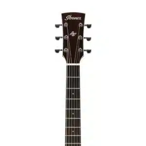 ibanez aw70ece nt