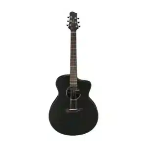 ibanez jgm10 bsn 3