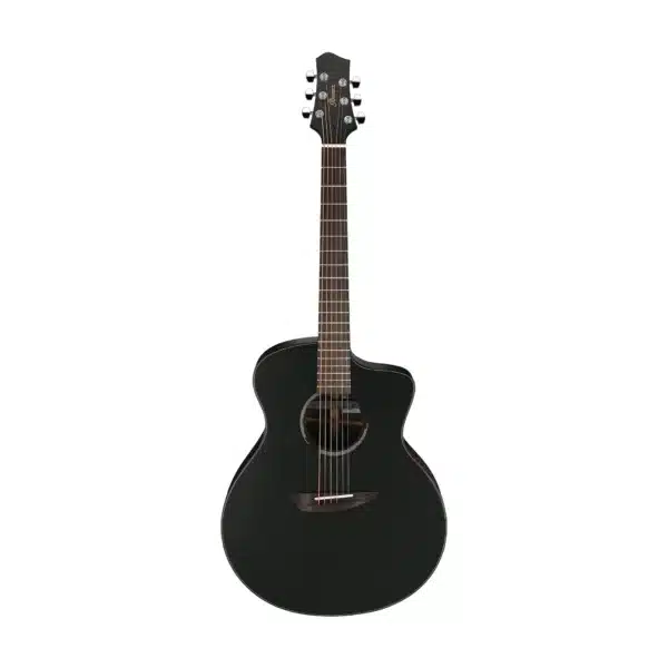 ibanez jgm10 bsn 3