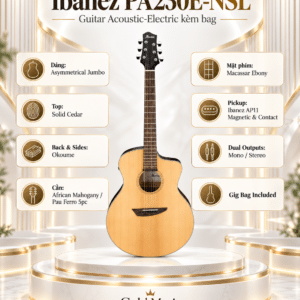 ibanez pa230e nsl 3
