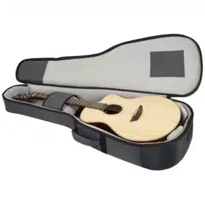 Ibanez PA300E-NSL guitar thùng điện Low Gloss kèm bag biểu diễn ibanez pa300e nsl 2