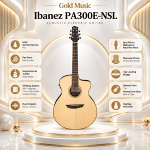 ibanez pa300e nsl 3