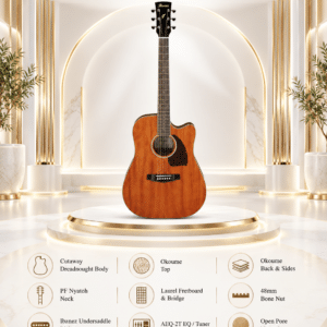 ibanez pf16mwce opn 3