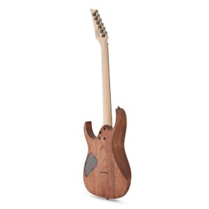 ibanez rg421 mol 1