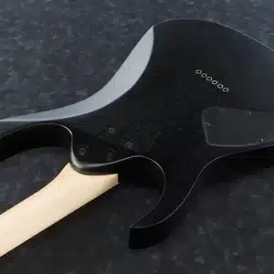 ibanez rg421 wk 1