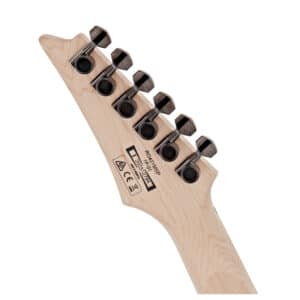 ibanez rg421msp tsp