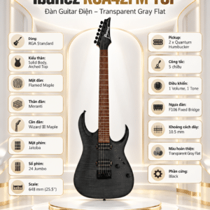 ibanez rga42fm tgf 4