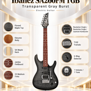 ibanez sa260fm tgb 4