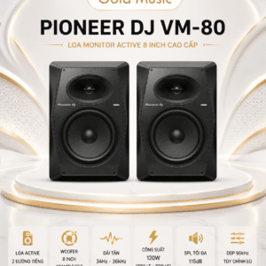 loa pioneer dj vm 80
