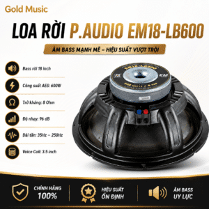 LOA RỜI P.AUDIO EM18-LB600 loa roi p audio em18 lb600