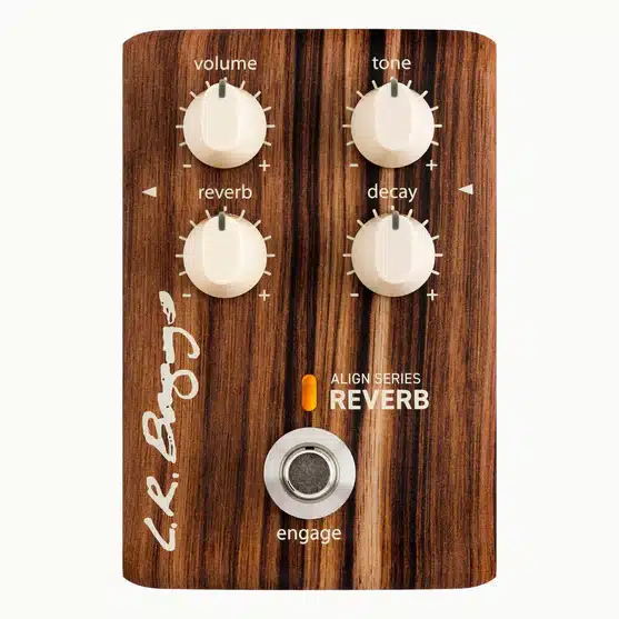 lr baggs align reverb 4