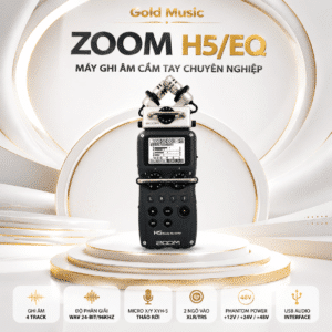 zoom h5 eq 2