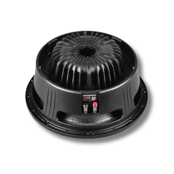 LOA RỜI P.AUDIO P12N p audio p12n 1