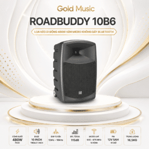roadbuddy 10b6 loa keo di 480w micro