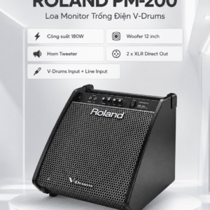ROLAND PM-200 Loa trống điện