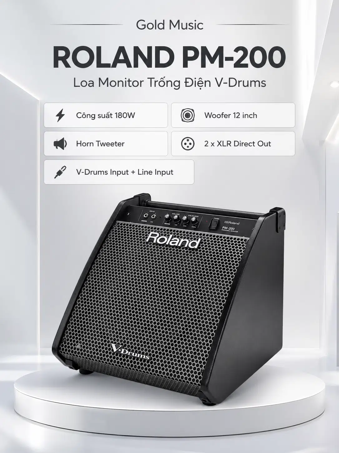 ROLAND PM-200 Loa trống điện roland pm 200 loa trong dien