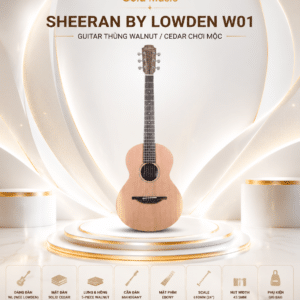 sheeran by lowden w01 1