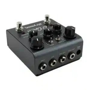 strymon el capistan 1