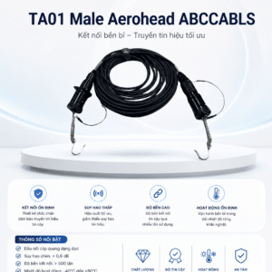 ta01