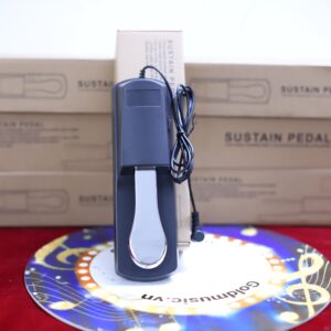 pedal sustain 4