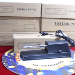 pedal sustain 5