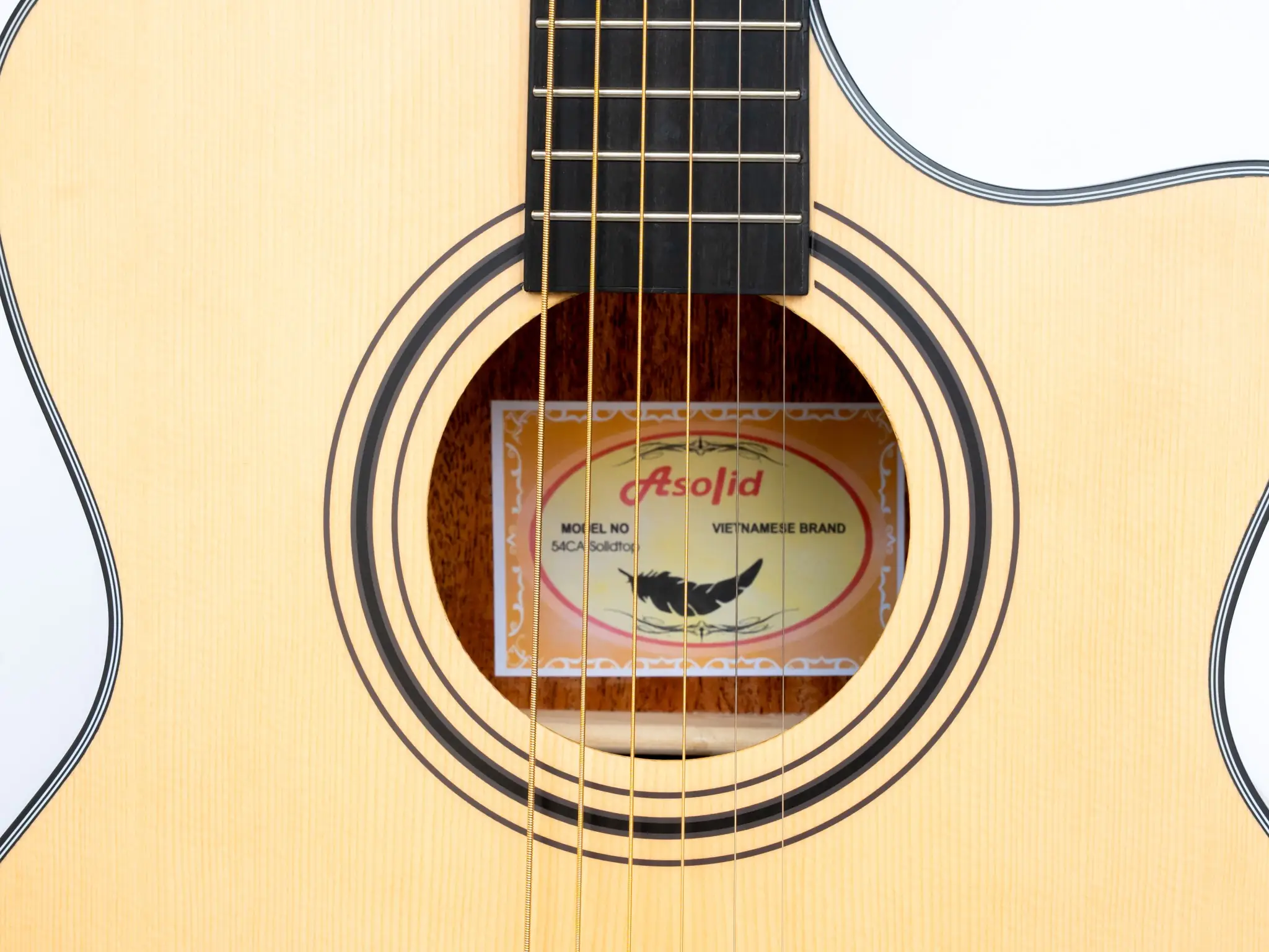 asolid 54ca dan guitar 8 asolid 54ca dan guitar 8