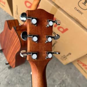 guitar asolid 54cd dang d 4