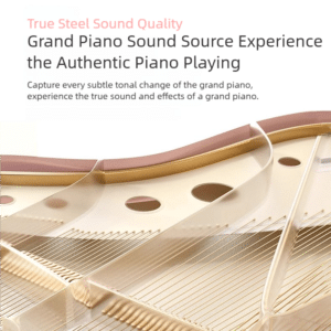 piano dien gap gon betsy b170 11