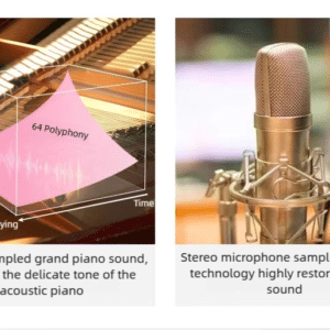 piano dien gap gon betsy b170 12