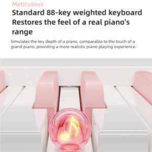 piano dien gap gon betsy b170 17