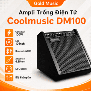 ampli dien tu coolmusic dm100