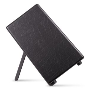 blackstar artist fr standard loa dien 3